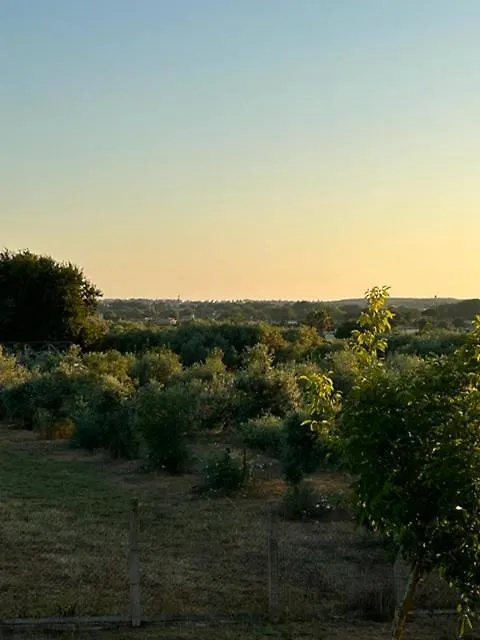 Casale Tauro-1